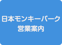 日本モンキーパーク営業案内