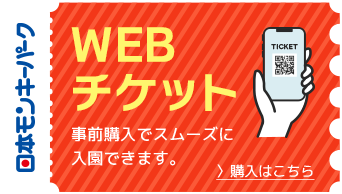 WEBチケット